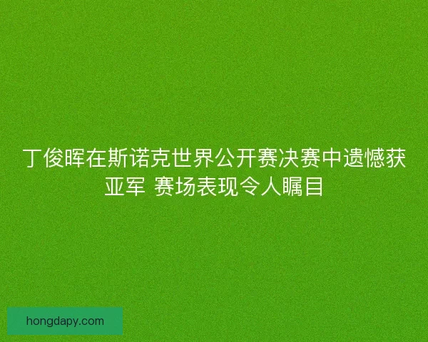 丁俊晖在斯诺克世界公开赛决赛中遗憾获亚军 赛场表现令人瞩目
